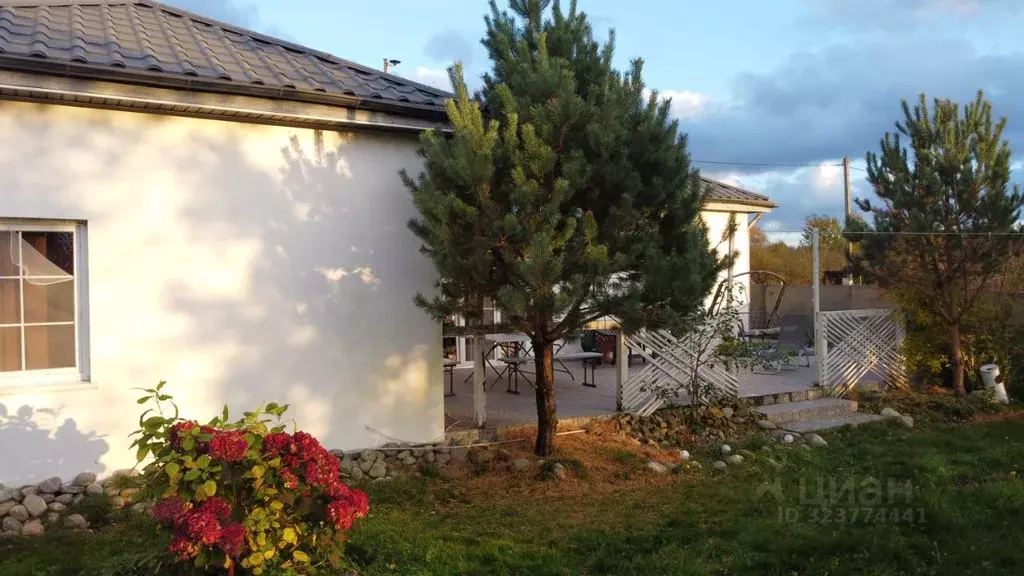 Дом в Калининградская область, Янтарный городской округ, пос. Синявино ... - Фото 2