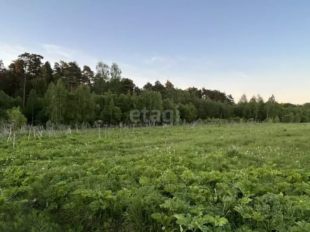 Участок в Калужская область, Перемышльский район, Ахлебинино с/пос, с. ... - Фото 0