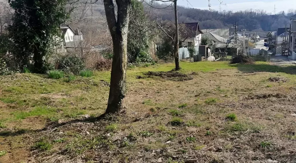 Участок в Краснодарский край, Сочи ул. Ольховая (5.0 сот.) - Фото 2