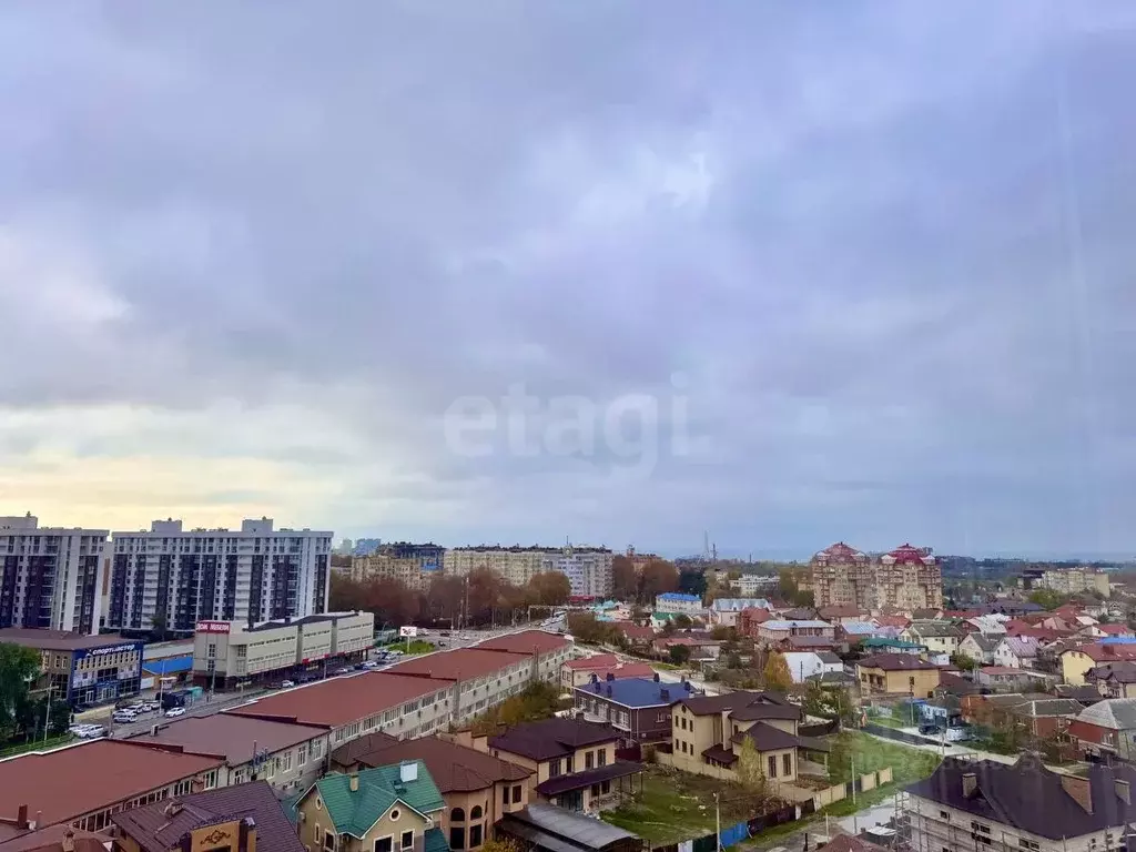 1-к кв. Краснодарский край, Анапа Алексеевка мкр, ул. Лазурная, 10к1 ... - Фото 2