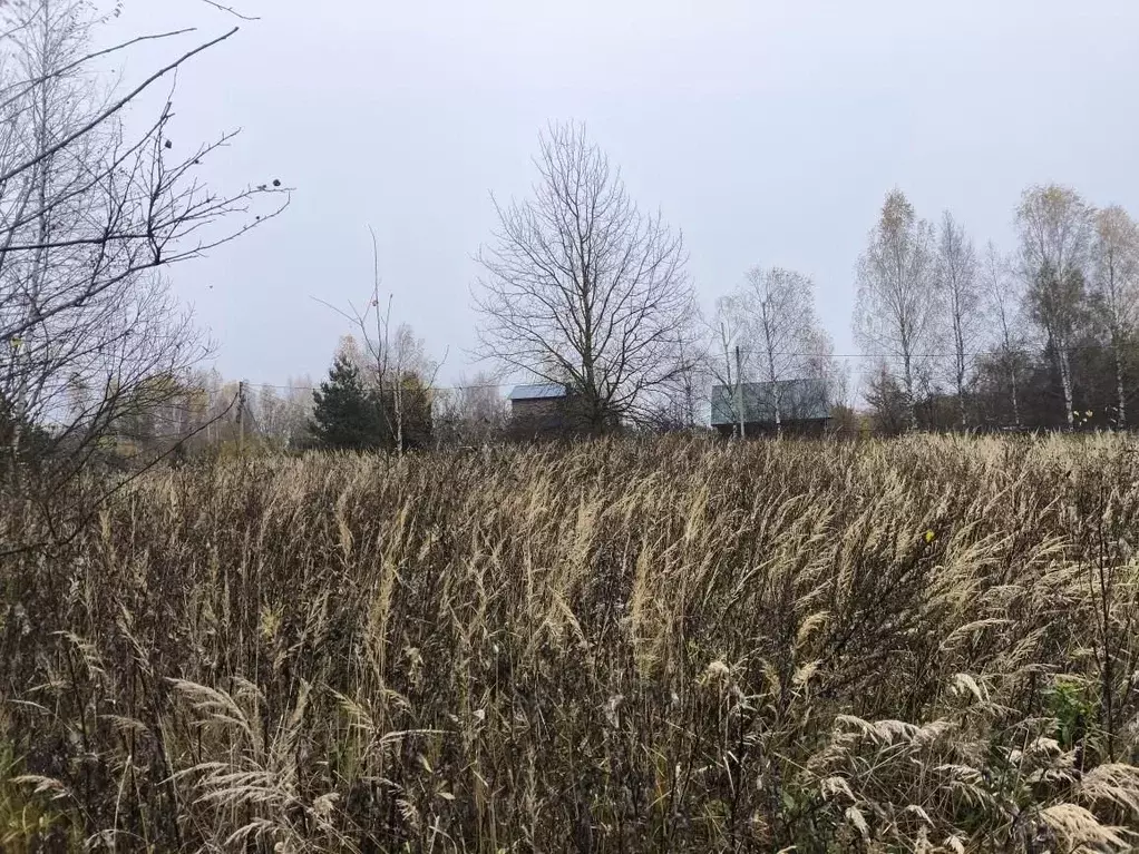 Участок в Московская область, Клин городской округ, д. Макшеево  ... - Фото 2