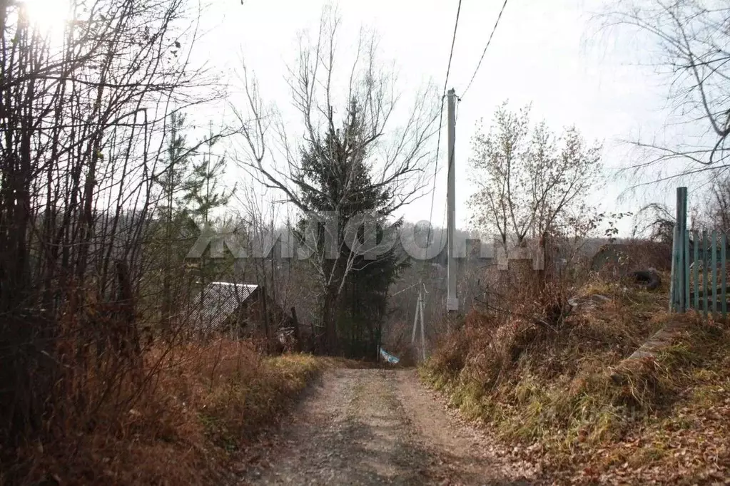 Участок в Новосибирская область, Новосибирский район, Барышевский ... - Фото 0