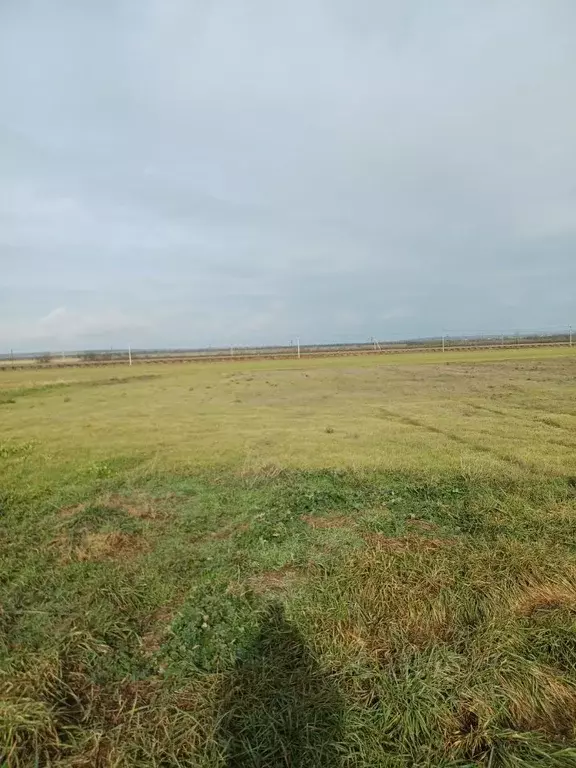Участок в Крым, Ленинский район, с. Новониколаевка  (14.5 сот.) - Фото 1