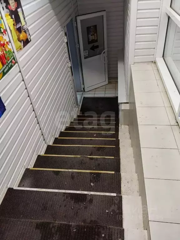 Торговая площадь в Ханты-Мансийский АО, Сургут Югорская ул., 17 (348 ... - Фото 2