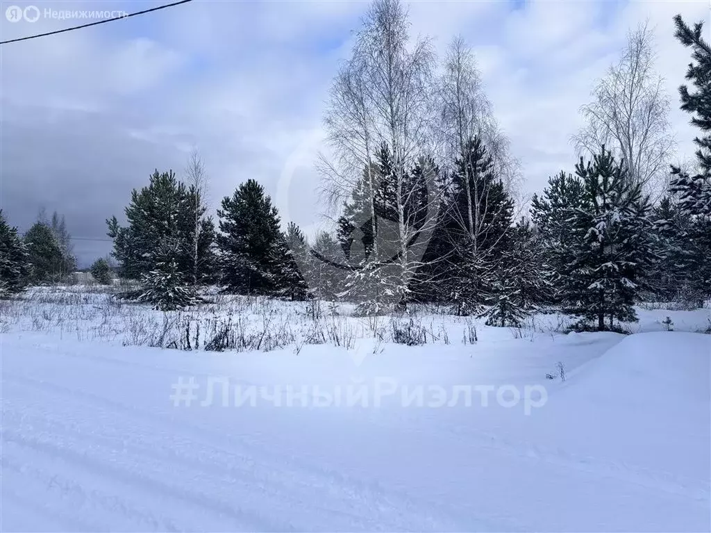 Участок в Рязанский муниципальный округ, село Дубровичи (8 м) - Фото 1