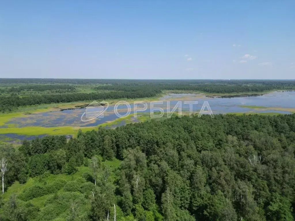 Участок в Тюменская область, Тюменский район, д. Головина ул. Озерная ... - Фото 1