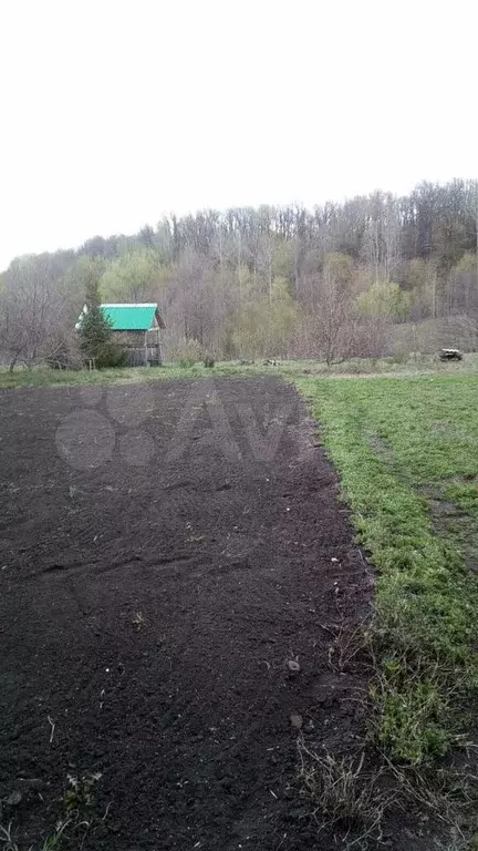 Участок 11 сот. (СНТ, ДНП) - Фото 1