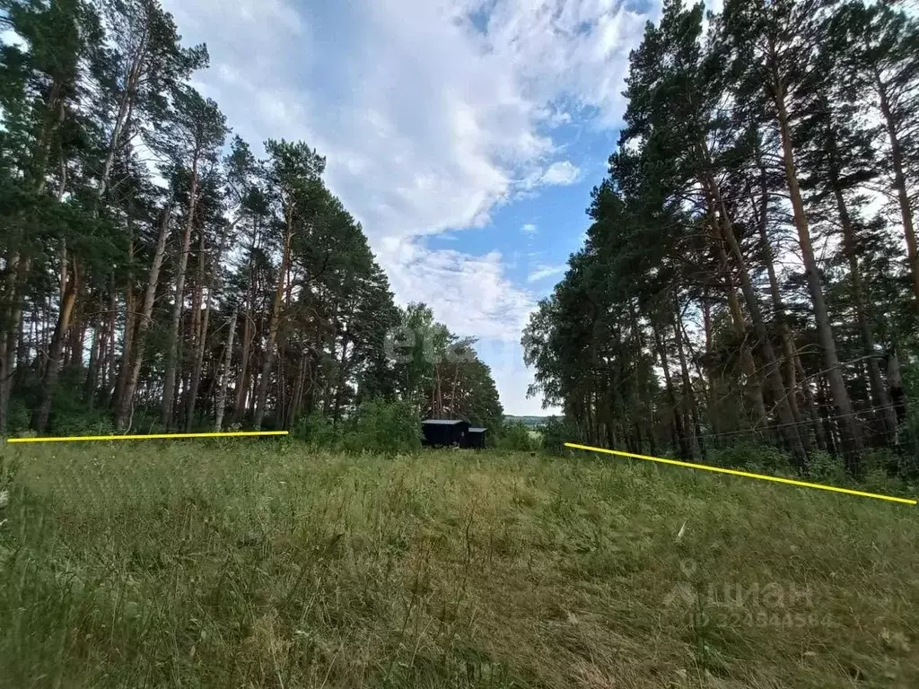 Участок в Калужская область, Жуковский муниципальный округ, Троицкое ... - Фото 1