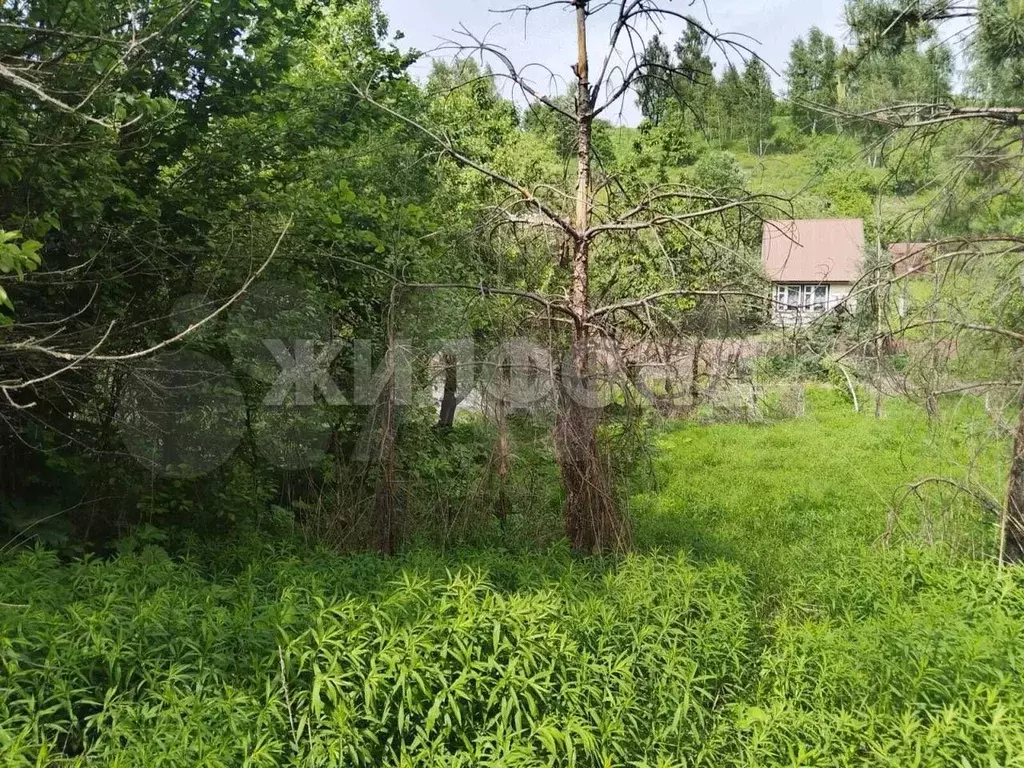 Участок 8 сот. (СНТ, ДНП) - Фото 0