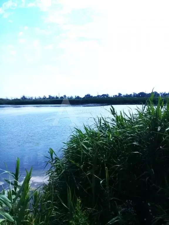 Участок в станица Советская, Пролетарская улица (57 м) - Фото 2