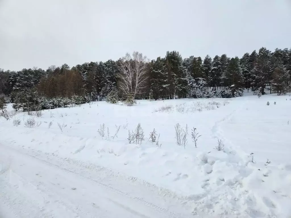 Участок в Челябинская область, Миасс ОНТ Русское Поле,  (102.0 сот.) - Фото 2
