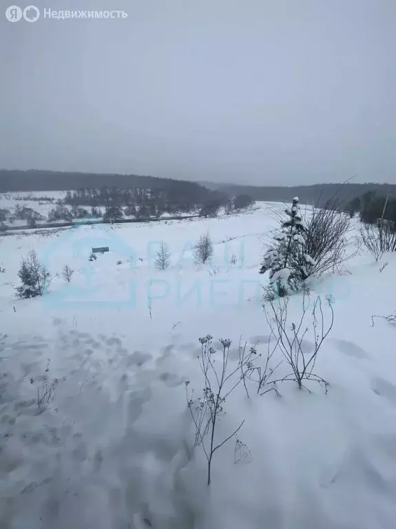 Участок в Калужская область, Боровский муниципальный округ, деревня ... - Фото 2