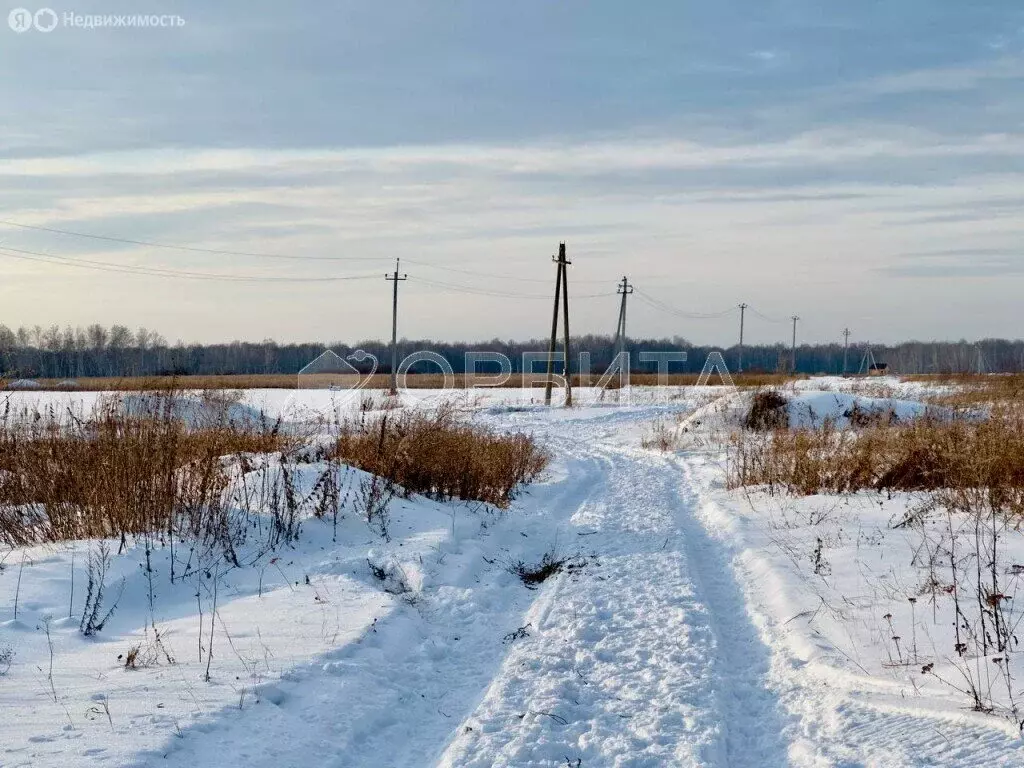 Участок в Тюменский район, село Горьковка (5 м) - Фото 1