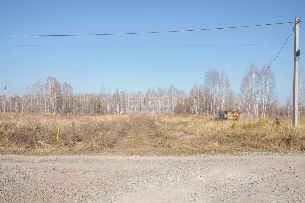 Участок в Новосибирская область, Новосибирский район, Барышевский ... - Фото 1