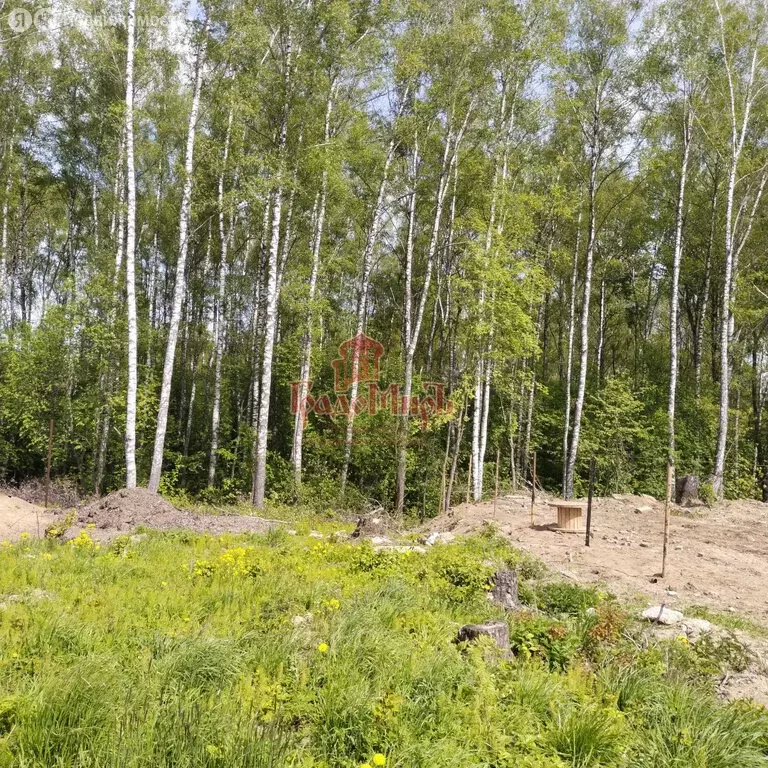 Участок в Дмитровский городской округ, деревня Кончинино (9.3 м) - Фото 0