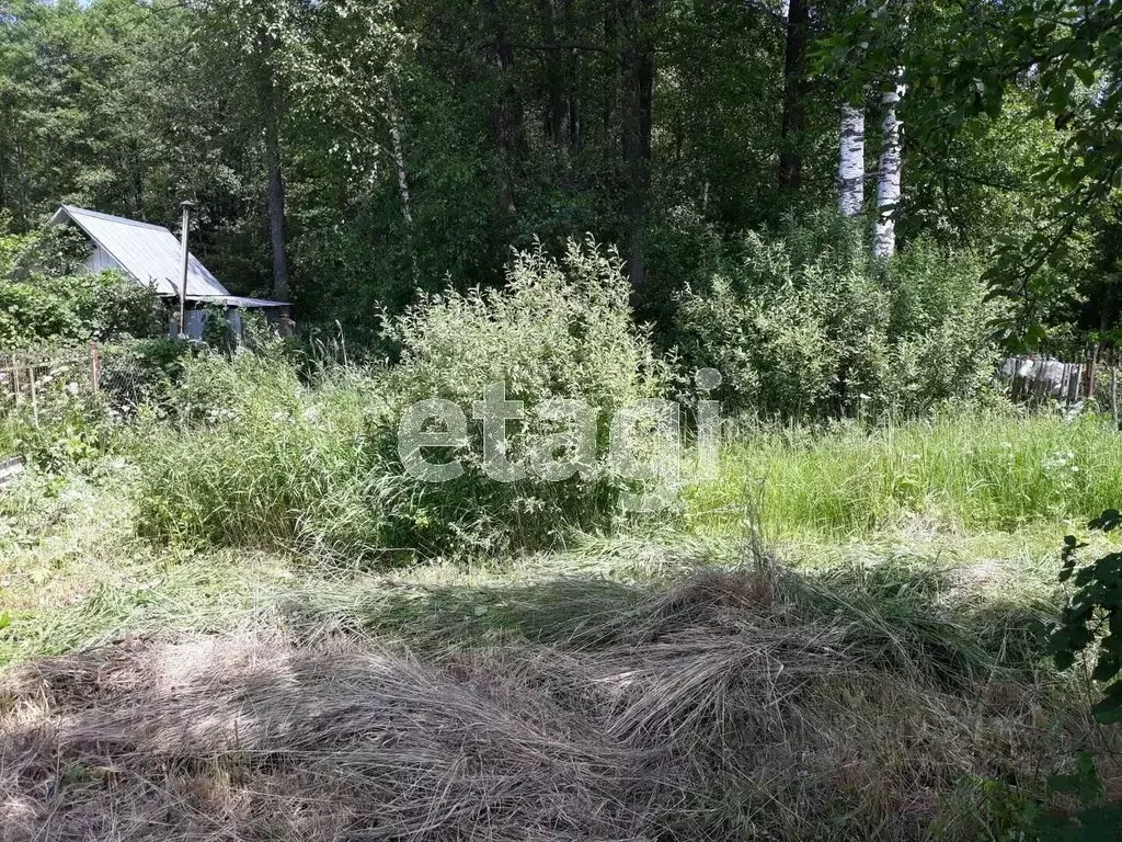 Участок в Калужская область, Калуга городской округ, Лесовод-2 СНТ  ... - Фото 2