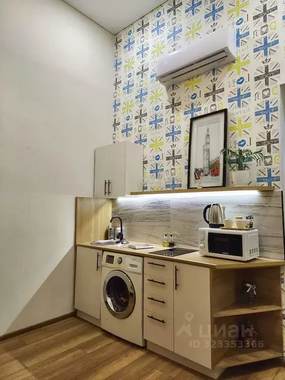 Студия Краснодарский край, Сочи Центральный мкр, ул. Нагорная, 19А ... - Фото 1