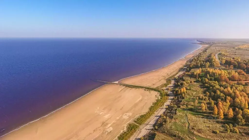 Участок в Новгородская область, Шимское городское поселение, д. ... - Фото 2