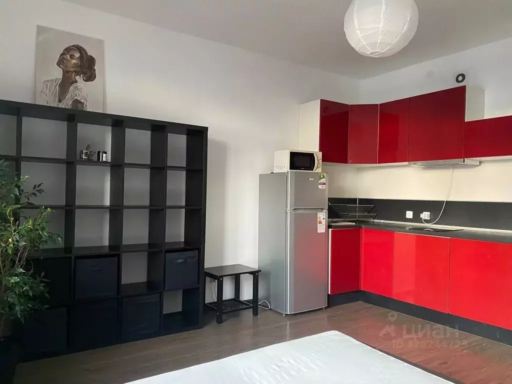 Студия Санкт-Петербург аллея Арцеуловская, 23к1 (25.0 м) - Фото 1