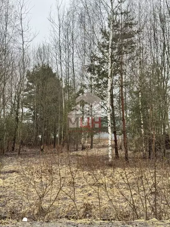Участок в Тверская область, Конаковский муниципальный округ, д. ... - Фото 0