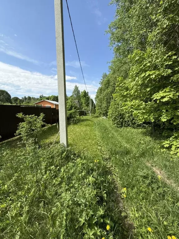 Участок в Московская область, Ступино городской округ, Автомаш СНТ  ... - Фото 2