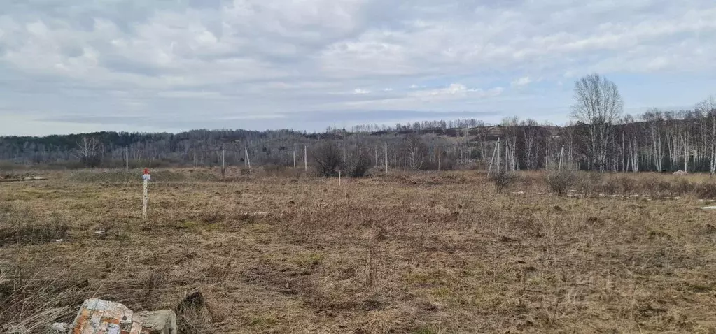 Участок в Томская область, Томский район, с. Коларово ул. Благодатная, ... - Фото 1