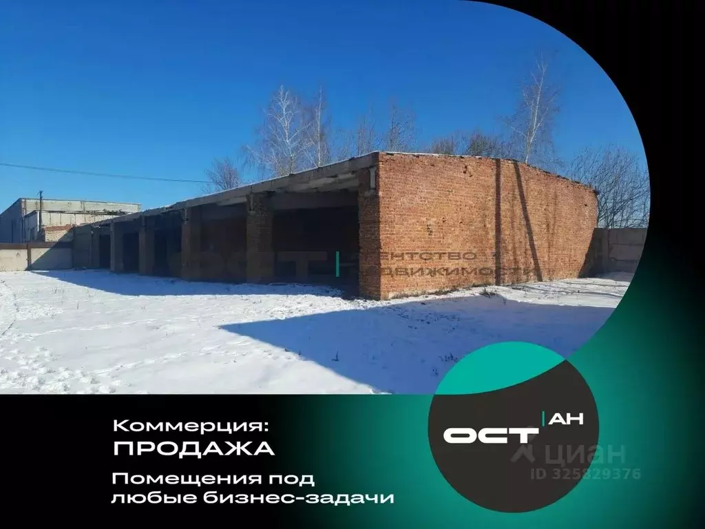 Склад в Тульская область, Тула городской округ, д. Барсуки ул. ... - Фото 1
