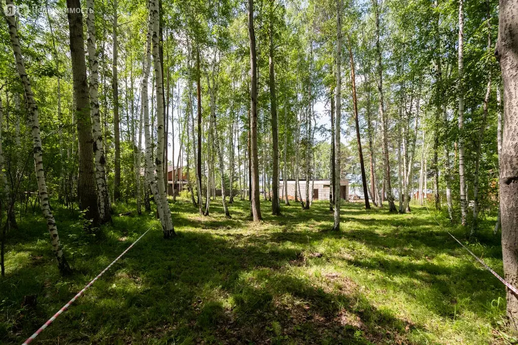 Участок в Иркутский муниципальный округ, ДНТ Молодость, Берёзовая ... - Фото 1