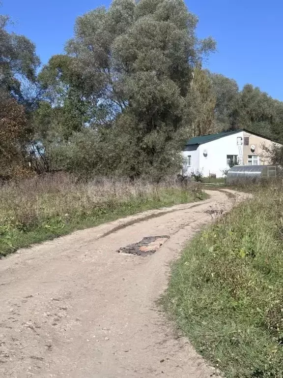 Участок в Калужская область, Ферзиковский муниципальный округ, Сашкино ... - Фото 2