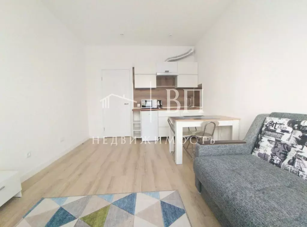 Студия Санкт-Петербург просп. Крузенштерна, 4с1 (21.2 м) - Фото 2