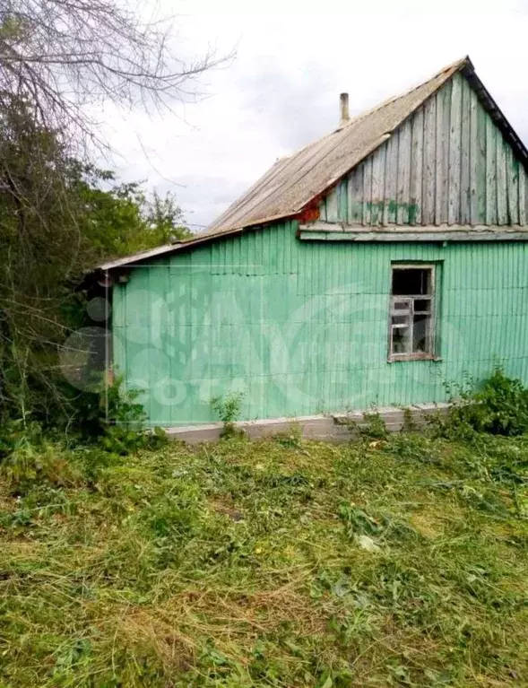 Дом в Воронежская область, с. Нижнедевицк ул. Азарова, 18 (40 м) - Фото 0