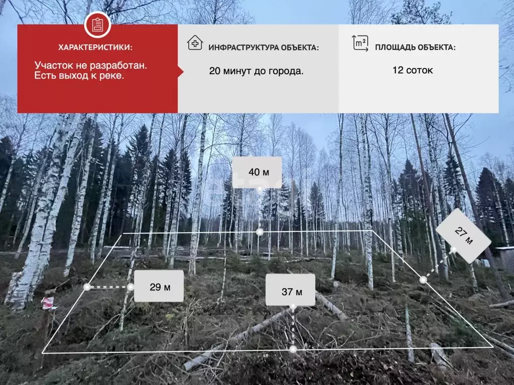 Участок в Архангельская область, Приморский муниципальный округ, ... - Фото 1