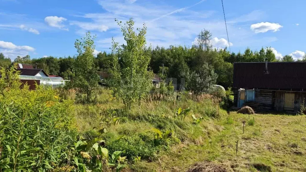 Участок в Ленинградская область, Киришский район, Кусинское с/пос, ... - Фото 0