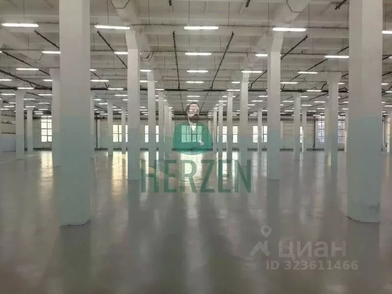 Производственное помещение в Московская область, Щелково Фабричная ... - Фото 2