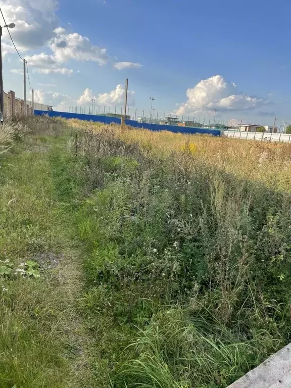 Участок в Московская область, Истра муниципальный округ, д. Чесноково ... - Фото 1