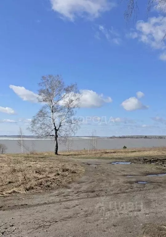 Участок в Новосибирская область, Новосибирский район, Морской ... - Фото 0