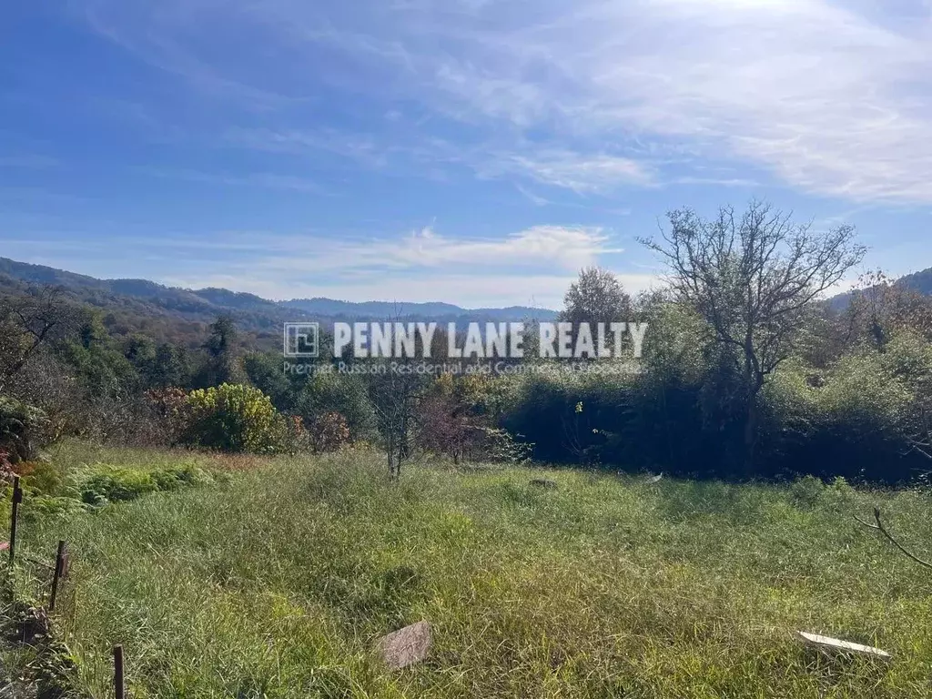 Участок в Краснодарский край, Сочи городской округ, с. Каштаны, ... - Фото 1