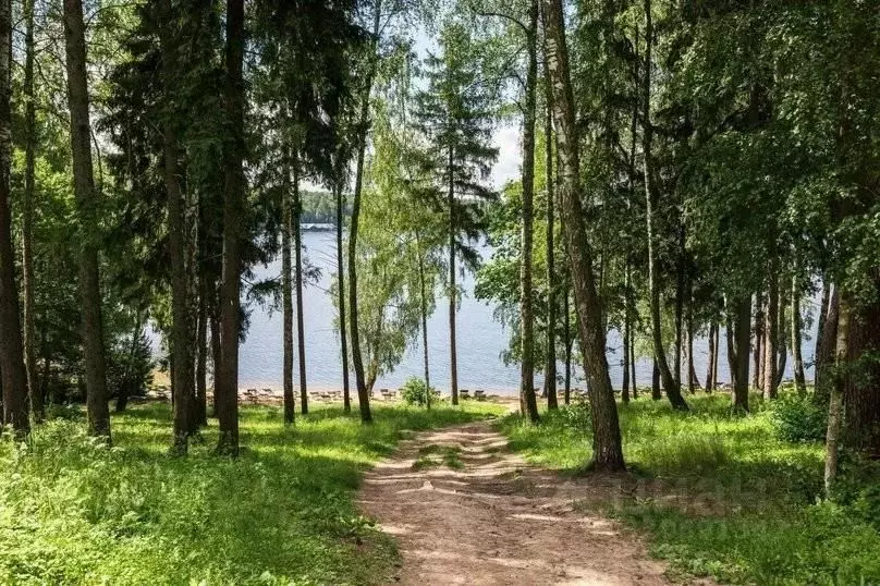 Дом в Московская область, Солнечногорск городской округ, д. Лопотово, ... - Фото 1