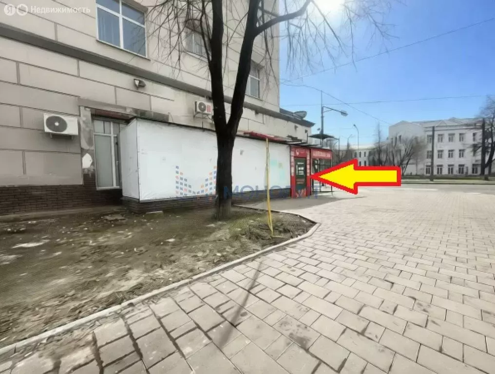 Помещение свободного назначения (236 м) - Фото 2