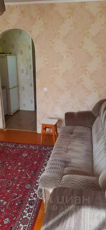 1-к кв. Курганская область, Курган ул. Карла Маркса, 139 (19.0 м) - Фото 0