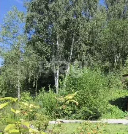 Участок в Пермский край, Пермь ул. Обросова (12.0 сот.) - Фото 1