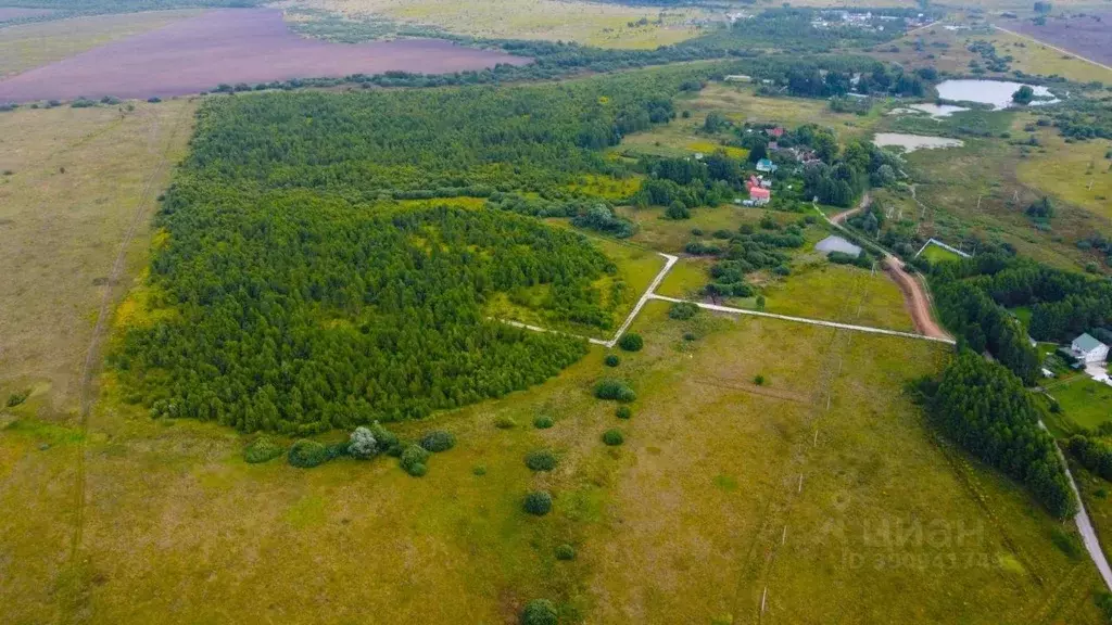 Участок в Тульская область, Заокский район, Демидовское с/пос, д. ... - Фото 1
