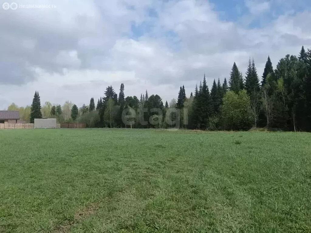 Участок в село Андреевка, Лесная улица (15 м) - Фото 2