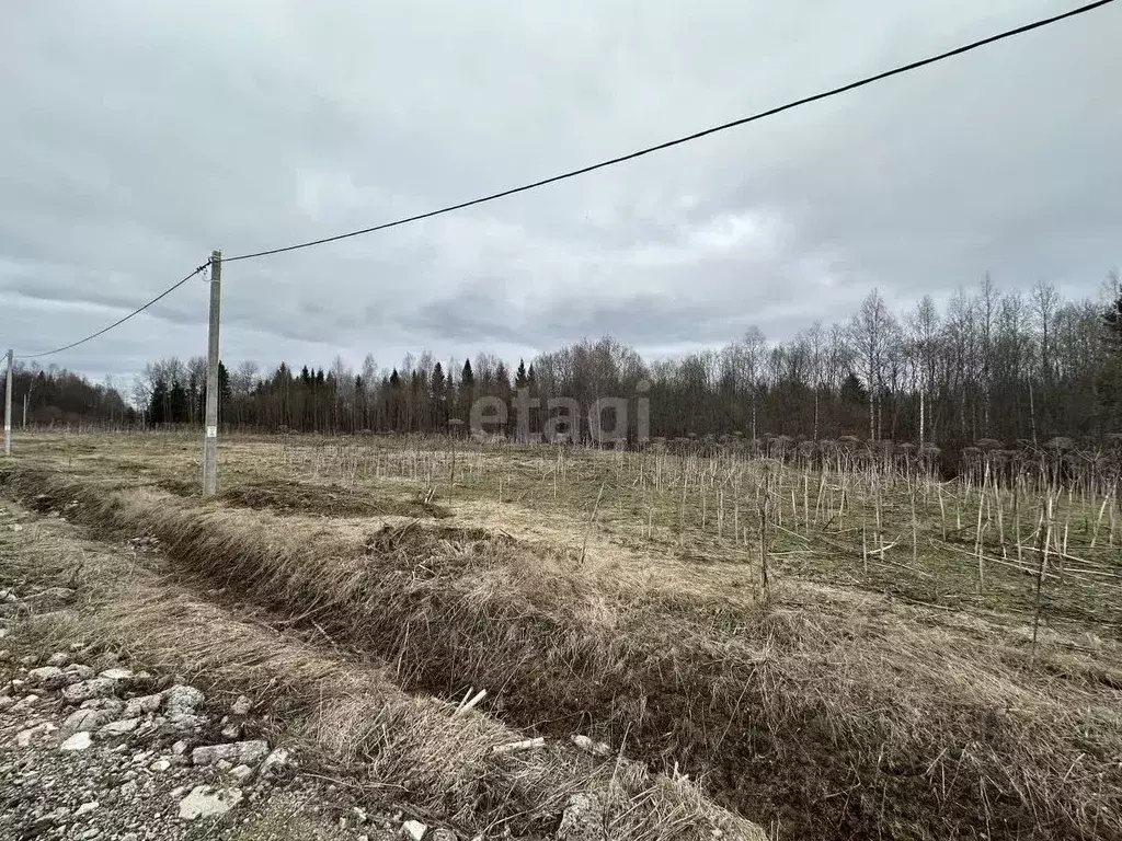 Участок в Коми, Сыктывдинский район, с. Выльгорт  (12.4 сот.) - Фото 1