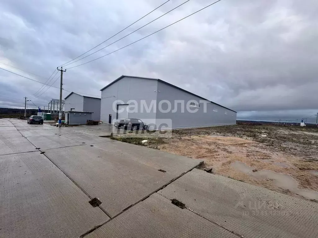 Склад в Московская область, Дмитровский муниципальный округ, с. ... - Фото 2