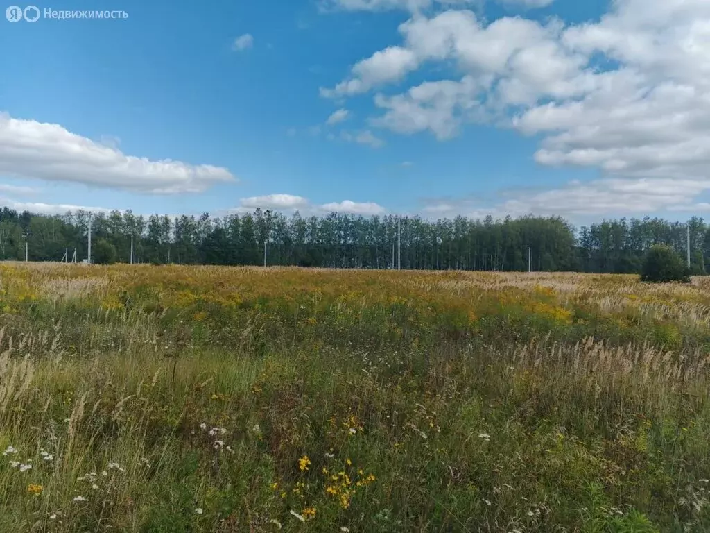 Участок в Московская область, городской округ Кашира, деревня ... - Фото 0