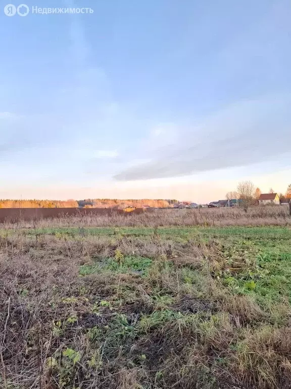 Участок в Архангельская область, Приморский муниципальный округ, ... - Фото 2