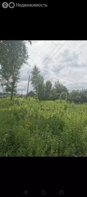 Участок в Муромцево, Совхозная улица (8 м) - Фото 1