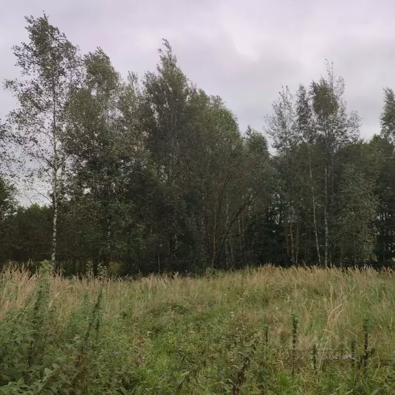 Участок в Московская область, Павлово-Посадский городской округ, д. ... - Фото 1