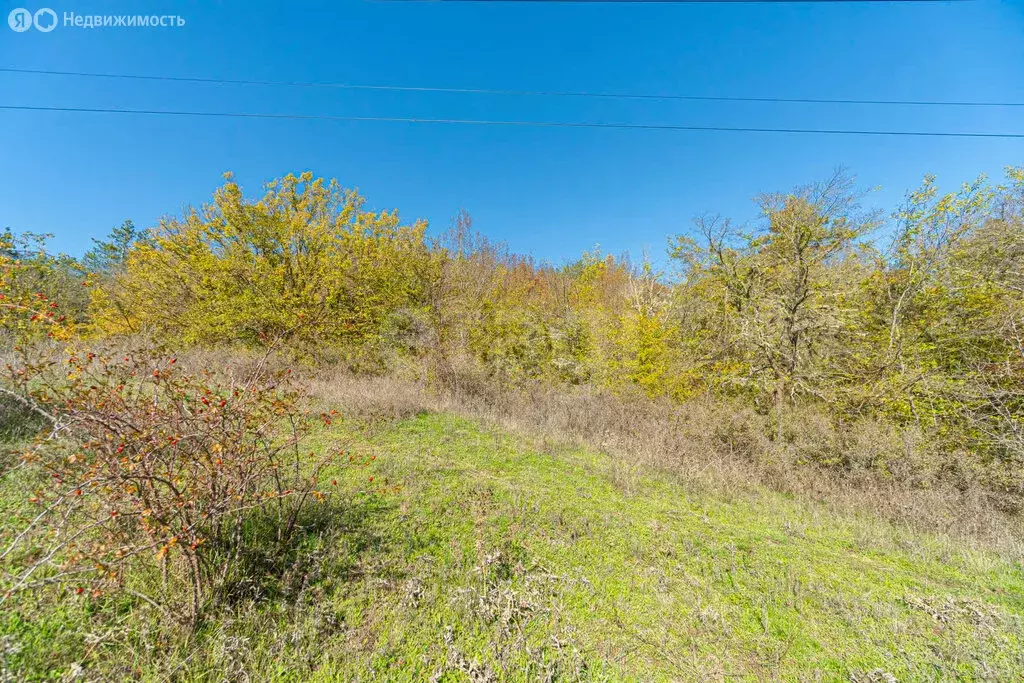 Участок в Бахчисарайский район, село Зелёное (50 м) - Фото 2